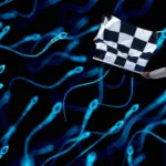 Di Balik Rumah Boss Putien di Putian, China