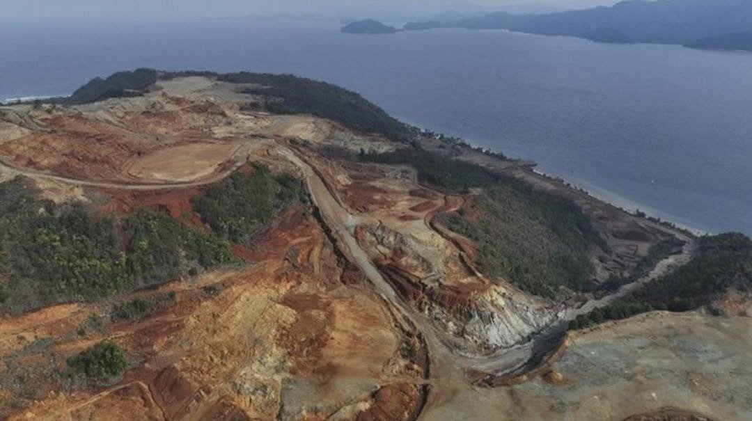 hutan ditebang raja ampat